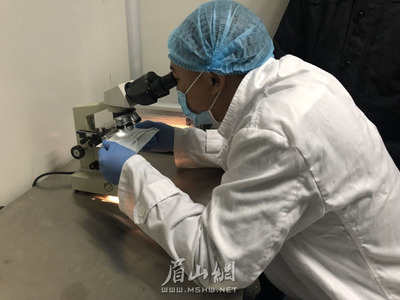 我市兩家醫療用品生產企業開足馬力保供應，承諾口罩等防護產品不漲價